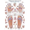 "Reflexzones Hand and Foot" - Anatomical Chart