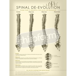 "Spinal De-evolution" -...