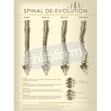"Spinal De-evolution" - Anatomical Chart