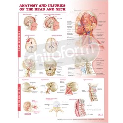 "Anatomy and Injuries of the Head and Neck" - Anatomisk Plakat