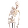Skeleton Fred - Mini