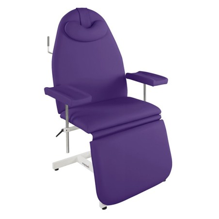 Ecopostural Hydraulic Treatment Chair with Arm Supports