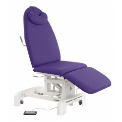 Ecopostural 3-sectoin Treatment Chair Electric/Hydraulic