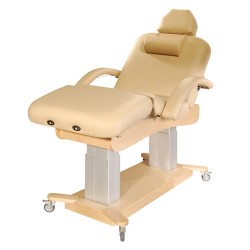 4-Section Electric Beautician Treatment Chair