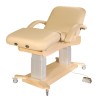 4-Section Electric Beautician Treatment Chair