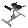 Incline Back Extension Bench