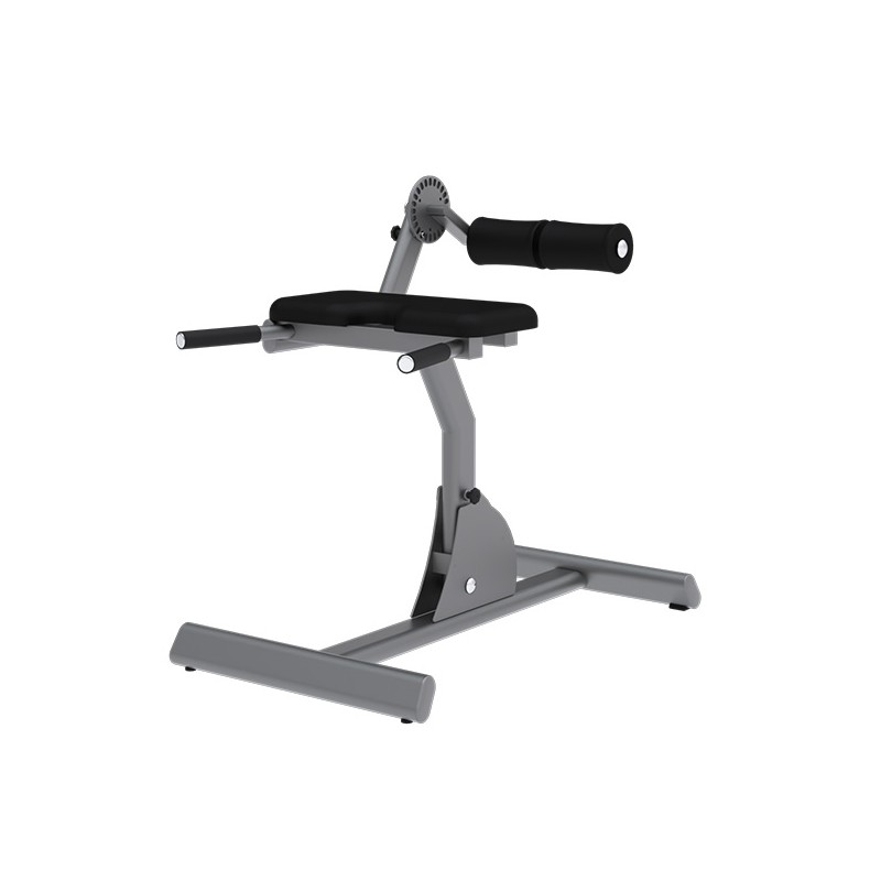 Incline Back Extension Bench