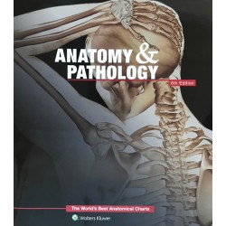 "Anatomy & Pathology" - Anatomical Chart Collection