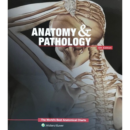 "Anatomy & Pathology" - Anatomiske Plakatsamling