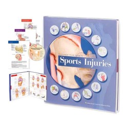 "Sports Injuries" - Anatomical Visual Guide