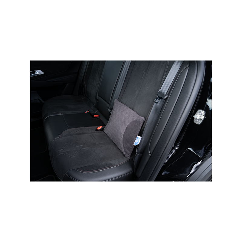 Chiroform Millennium Car Lumbar Cushion Firm
