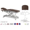 5-section Electric Treatment Table  with Arm Supports Ecopostural