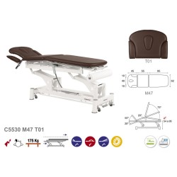 5-section Electric Treatment Table with Arm Supports