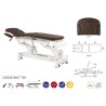 5-section Electric Treatment Table with Arm Supports