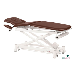 5-section Electric Treatment Table with Arm Supports Ecopostural