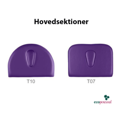 Ecopostural hovedsektioner T10 og T07