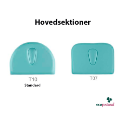 Ecopostural head section T10 and T07