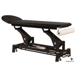 581-C5628 2-section Electric Treatment Table, Ecopostural