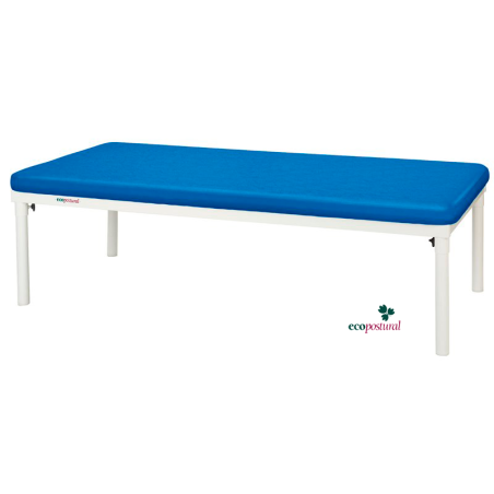 Stationary Bobath Table, Ecopostural