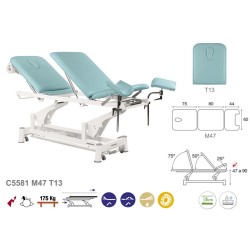 Electric Gynecologist Chair, Ecopostural