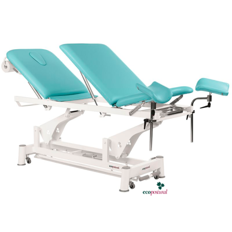 Electric Gynecologist Chair, Ecopostural