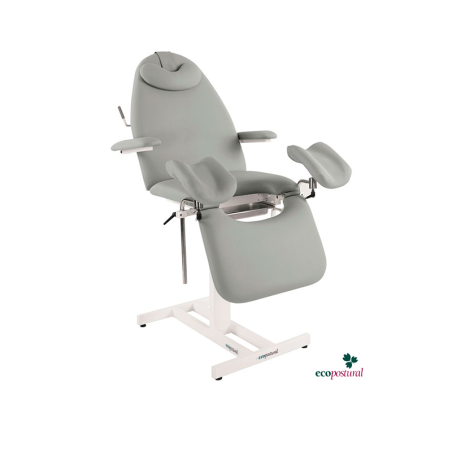 Stationary Gynecological Chair with Armrests, Ecopostural