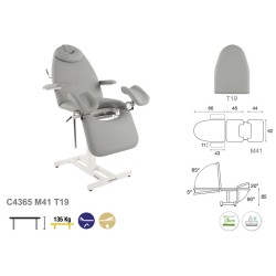 581-C4365 Gynækologstol Stationær med Armstøtter med rygsektion T19 (standard), Ecopostural