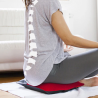 Back Vitalizer Air cushion