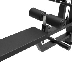Tunturi Platinum Dual Lat Pulldown / Low Row