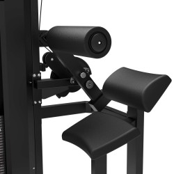 Tunturi Platinum Dual Back/Abdominal Combo