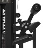 Tunturi Platinum Dual Back/Abdominal Combo