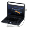 "After work" Ultrasound Workshop