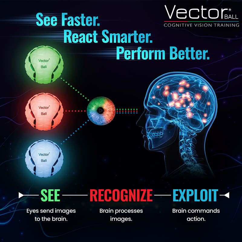 Visual Cognitive Tools Neuro-visual training for clinics, sports and rehabilitation