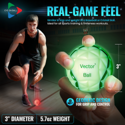 Vector Ball – Cognitive Vision Training (CVT)