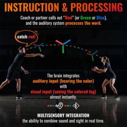 HECOstix – Reaction Training & Neuro-Visual Coordination
